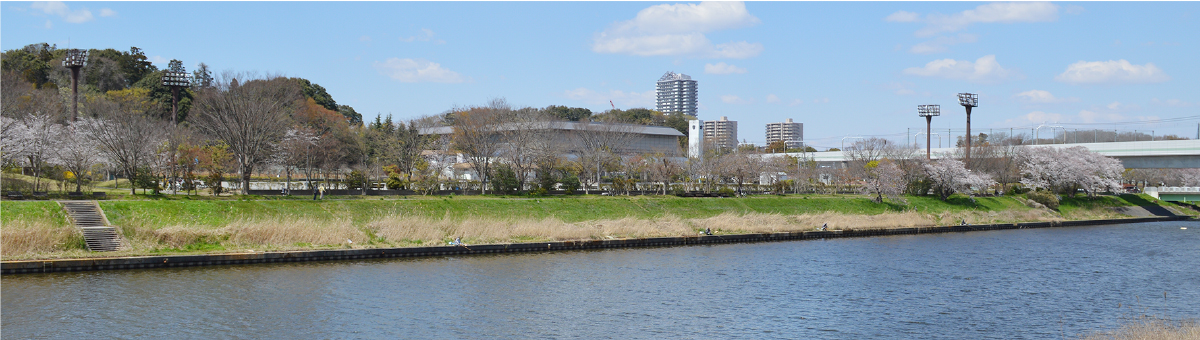 八千代市指定管理公園_八千代総合運動公園_メイン画像