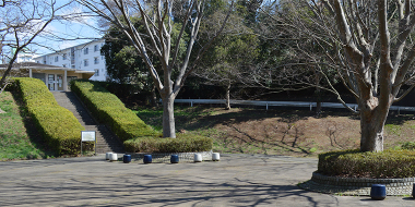八千代市指定管理公園_村上第1公園