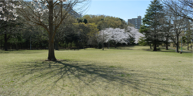 八千代市指定管理公園_村上中央公園
