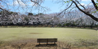 八千代市指定管理公園_飯綱近隣公園