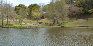 八千代市指定管理公園_萱田地区公園