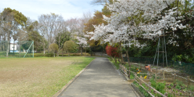 八千代市指定管理公園_八千代台近隣公園