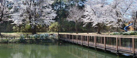 八千代市指定管理公園_黒沢池近隣公園