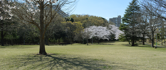 八千代市指定管理公園_村上中央公園