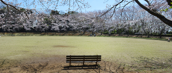 八千代市指定管理公園_飯綱近隣公園
