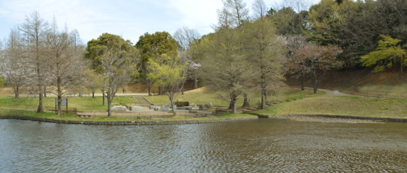 八千代市指定管理公園_萱田地区公園