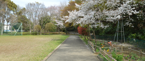 八千代市指定管理公園_八千代台近隣公園