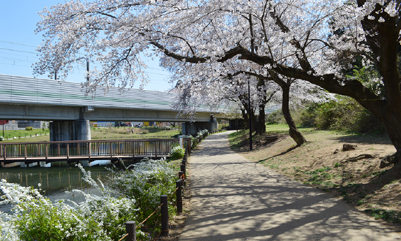 黒沢池近隣公園_1