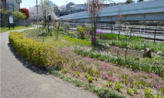 黒沢池近隣公園_6