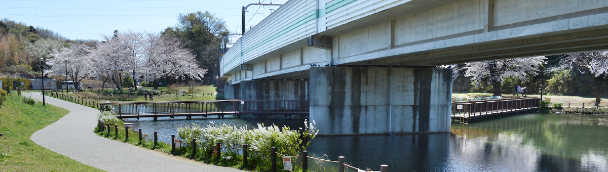 八千代市指定管理公園_黒沢池近隣公園_メイン画像