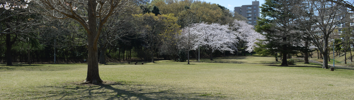 八千代市指定管理公園_村上中央公園_メイン画像