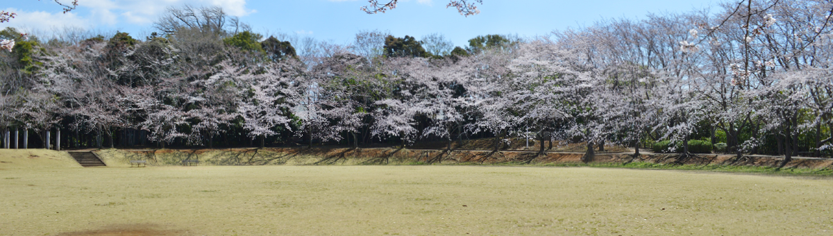 八千代市指定管理公園_飯綱近隣公園_メイン画像