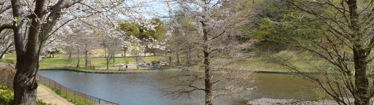 八千代市指定管理公園_萱田地区公園_メイン画像