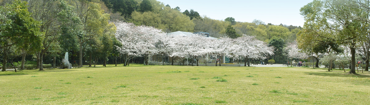 八千代市指定管理公園_八千代台近隣公園＿メイン画像