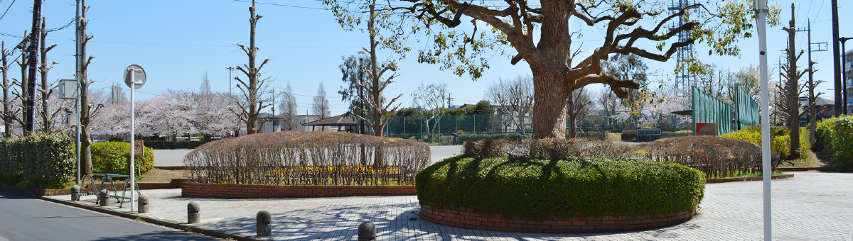 八千代市指定管理公園_スポーツの杜公園_メイン画像