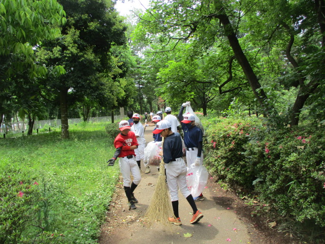 八千代ボーイズとの村上緑地公園定期清掃作業報告